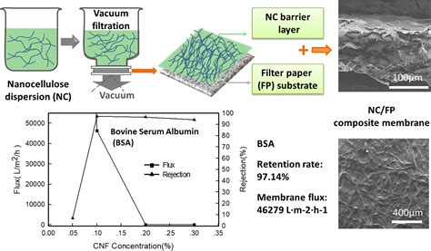 Nanocellulose : Une Révélation pour les Composites à Haute Performance et les Solutions de Filtrage Avancées !