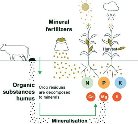  Nitre enindustrie: L’indispensable composant de nos engrais modernes et des produits pharmaceutiques !